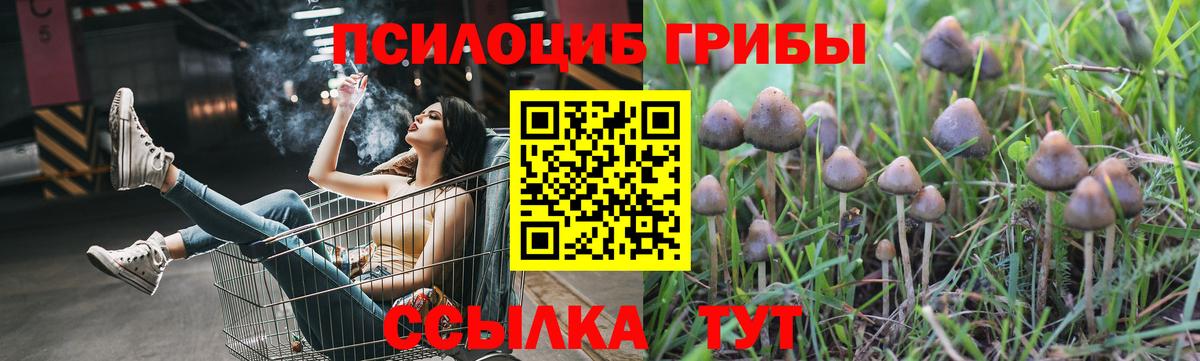 Урюпинск  Псилоцибиновые грибы GOLDEN TEACHER  Галлюциногенные грибы Cubensis  Вход с VPN 