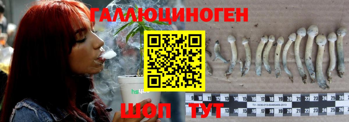 Псилоцибиновые грибы ЛСД Урюпинск